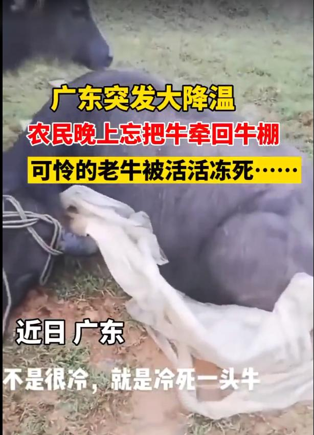 QQ圖片20220224085548.png