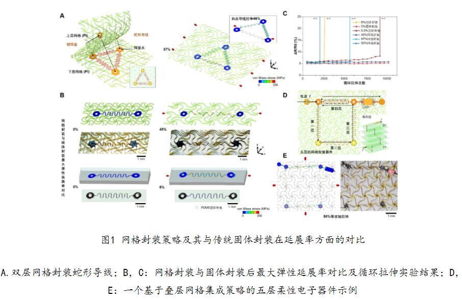 QQ截圖20220318131036.jpg