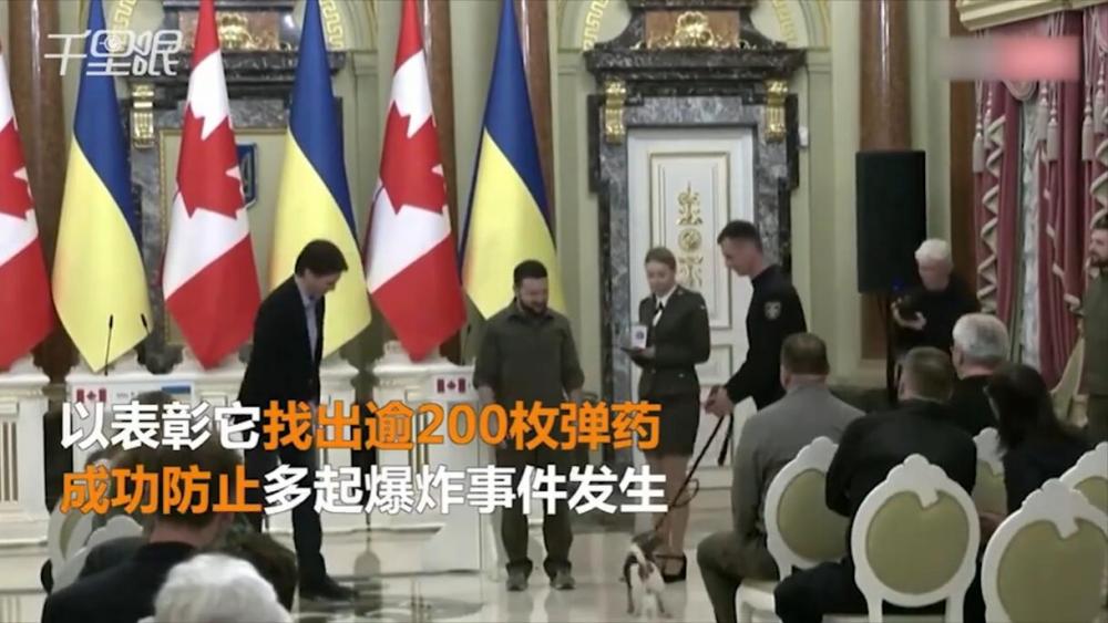 QQ截圖20220509110638.jpg