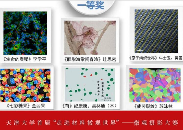 QQ截圖20220621123822.jpg