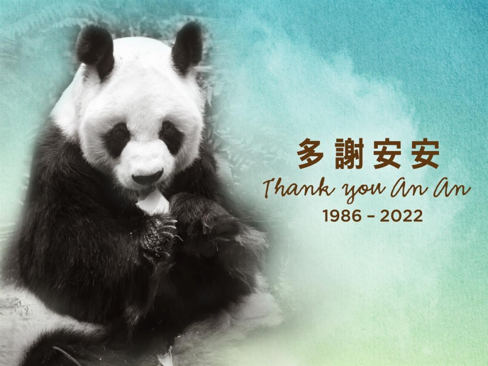 QQ圖片20220723210514.png