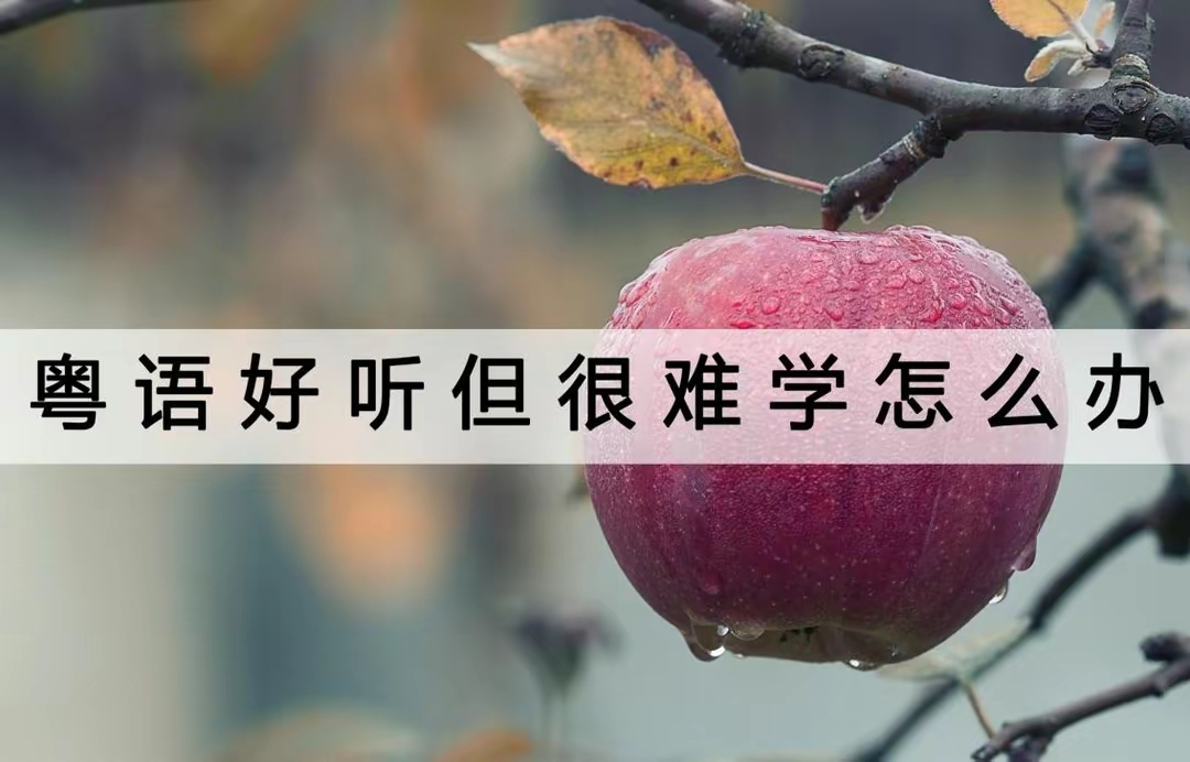 QQ圖片20231016232806.jpg