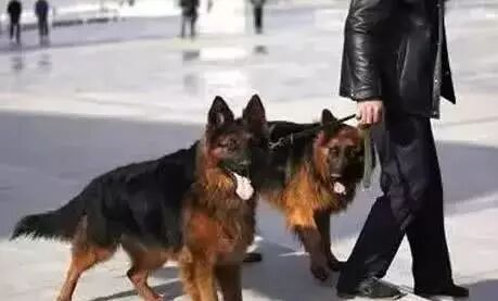 QQ圖片20231020002715.jpg