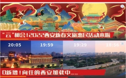 云上春節(jié)蓮湖味，虎年大集文化年