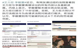 王力宏與李靚蕾離婚訴訟也已演變成各說各話