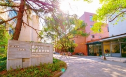 同濟(jì)大學(xué)宣布首次試點(diǎn)設(shè)立數(shù)學(xué)學(xué)科人才特區(qū)