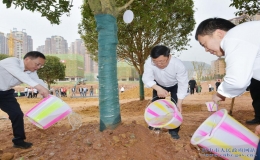 巴中市2022年春季義務植樹活動