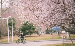又是三月春風(fēng)起，春意暖暖南開園