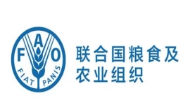 3月份世界糧食價格創(chuàng)下歷史新高