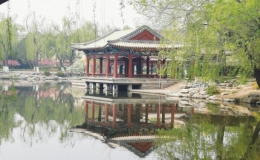 【組圖】蘭葉葳蕤，水木清華，春意知幾許