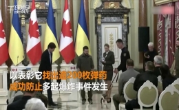 烏克蘭的著名掃雷犬“派頓”