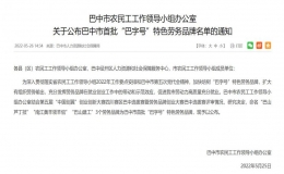 巴中市公布首批“巴字號”特色勞務(wù)品牌名單