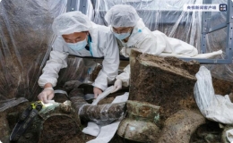 考古人員認(rèn)定三星堆部分祭祀坑埋藏年代為商代晚期