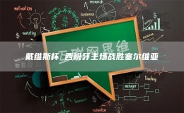 戴維斯杯 西班牙主場(chǎng)戰(zhàn)勝塞爾維亞