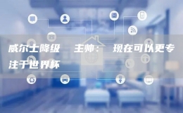 威爾士降級  主帥： 現(xiàn)在可以更專注于世界杯