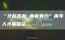 “才聚高新 青春有約”青年人才聯(lián)誼會