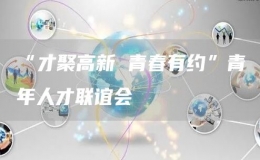“才聚高新 青春有約”青年人才聯(lián)誼會