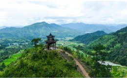 “為荷而來”第七屆中國建蓮文化旅游節(jié)