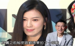 劉德華和林熙蕾將合演新片