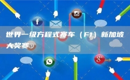 世界一級(jí)方程式賽車（F1）新加坡大獎(jiǎng)賽
