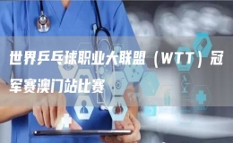 世界乒乓球職業(yè)大聯(lián)盟（WTT）冠軍賽澳門(mén)站比賽