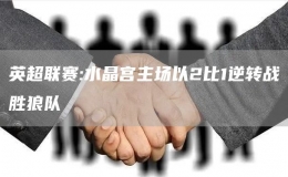 英超聯賽:水晶宮主場以2比1逆轉戰(zhàn)勝狼隊