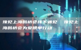 豫見上海鵲橋會線下遇見  豫見上海鵲橋會為愛脫單行動