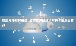 膝傷無法及時康復(fù) 波格巴將錯過本月的卡塔爾世界杯