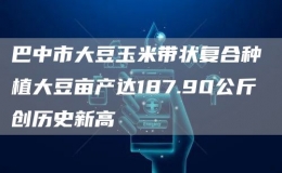 巴中市大豆玉米帶狀復(fù)合種植大豆畝產(chǎn)達(dá)187.90公斤 創(chuàng)歷史新高