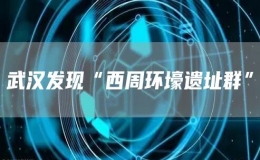 武漢發(fā)現(xiàn)“西周環(huán)壕遺址群”