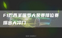 F1巴西圣保羅大獎賽排位賽爆出大冷門