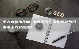 王力宏復出在即 《天賜的聲音》綜藝節(jié)目邀請王力宏加盟？