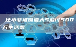 ?汪小菲被爆遭大S追討500萬生活費(fèi)