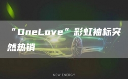 “OneLove”彩虹袖標(biāo)突然熱銷