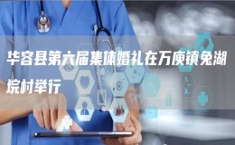 華容縣第六屆集體婚禮在萬庾鎮(zhèn)兔湖垸村舉行