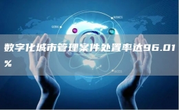 數(shù)字化城市管理案件處置率達(dá)96.01%