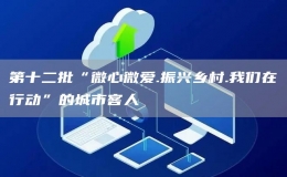 第十二批“微心微愛.振興鄉(xiāng)村.我們在行動”的城市客人