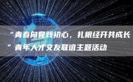 “青春向黨踐初心，扎根經(jīng)開共成長”青年人才交友聯(lián)誼主題活動