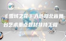 《雪域之花》入選湖北省舞臺藝術(shù)重點題材扶持工程