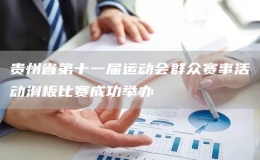 貴州省第十一屆運(yùn)動(dòng)會(huì)群眾賽事活動(dòng)滑板比賽成功舉辦