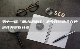 第十一屆“麗水援疆杯”農(nóng)牧民運(yùn)動(dòng)會(huì)在沙漠花海景區(qū)開幕
