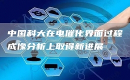 中國科大在電催化界面過程成像分析上取得新進(jìn)展