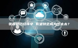 張穎穎已經(jīng)懷孕 有望扶正成為汪太太？