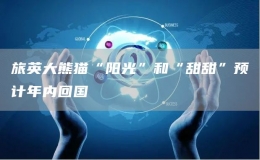 旅英大熊貓“陽(yáng)光”和“甜甜”預(yù)計(jì)年內(nèi)回國(guó)