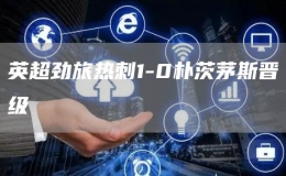  英超勁旅熱刺1-0樸茨茅斯晉級(jí)