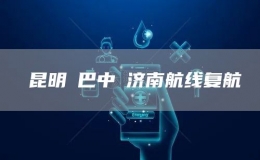 ?昆明?巴中?濟南航線復航