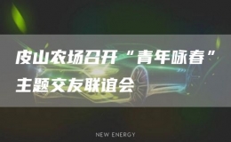 皮山農(nóng)場召開“青年詠春”主題交友聯(lián)誼會
