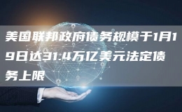 美國(guó)聯(lián)邦政府債務(wù)規(guī)模于1月19日達(dá)31.4萬(wàn)億美元法定債務(wù)上限