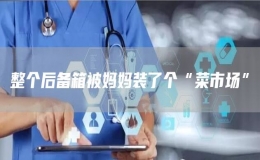 整個后備箱被媽媽裝了個“菜市場”