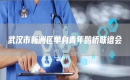 武漢市新洲區(qū)單身青年鵲橋聯(lián)誼會